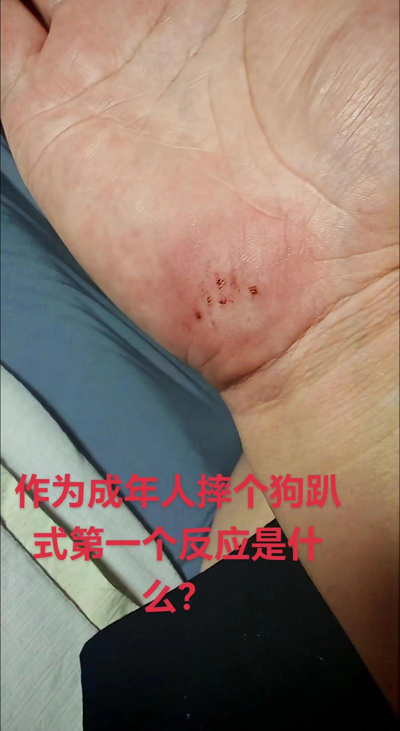 如何不摔成狗？心理建设比动作还重要