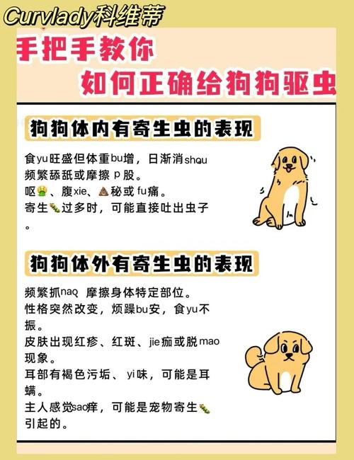 忘了驱虫怎么办？别乱补