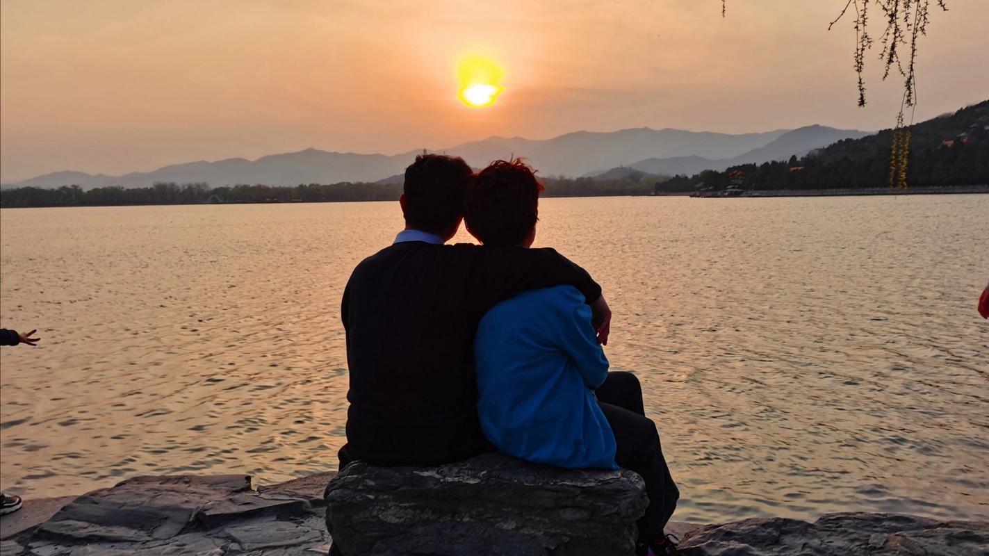 夕阳下人马相互依偎的信任画面