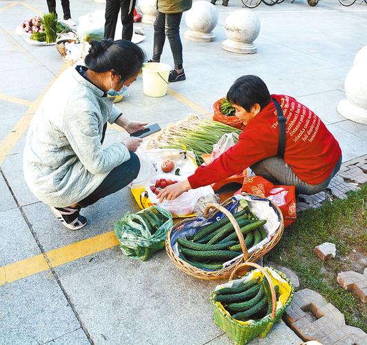 清晨的早市:泥土和露水的气味