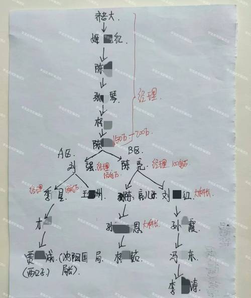 新型传销组织伪装类型分类图
