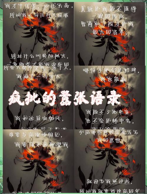 最后的疯言疯语
