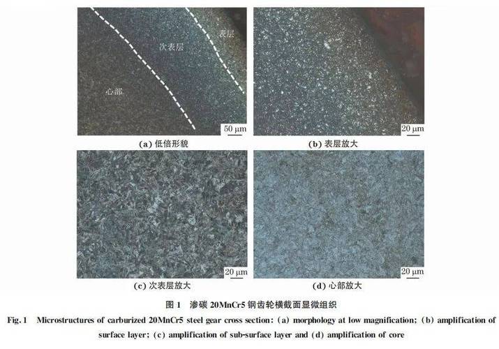 齿轮渗碳淬火金相组织显微镜照片