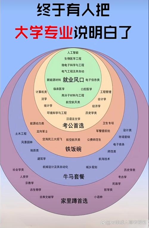 别把专业价值绑死在你的大学专业上