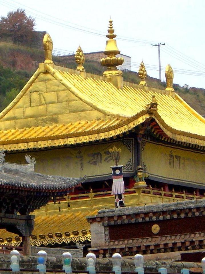 青海塔尔寺大金瓦殿金顶远景