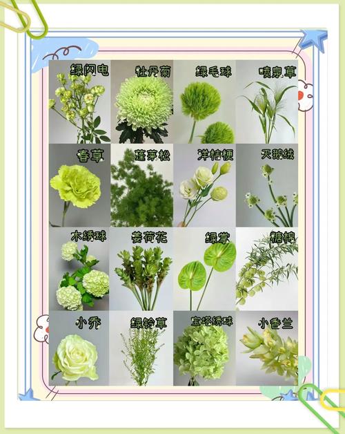 那些花花绿绿的说法，别都信