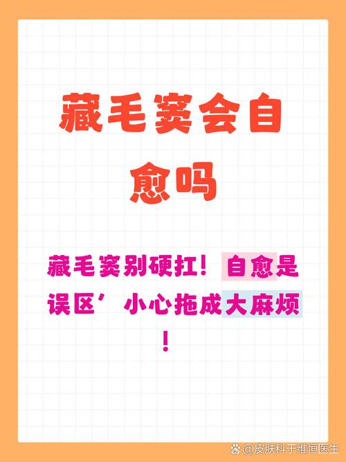 那些藏毛藏味的死角，九成养宠人都漏了