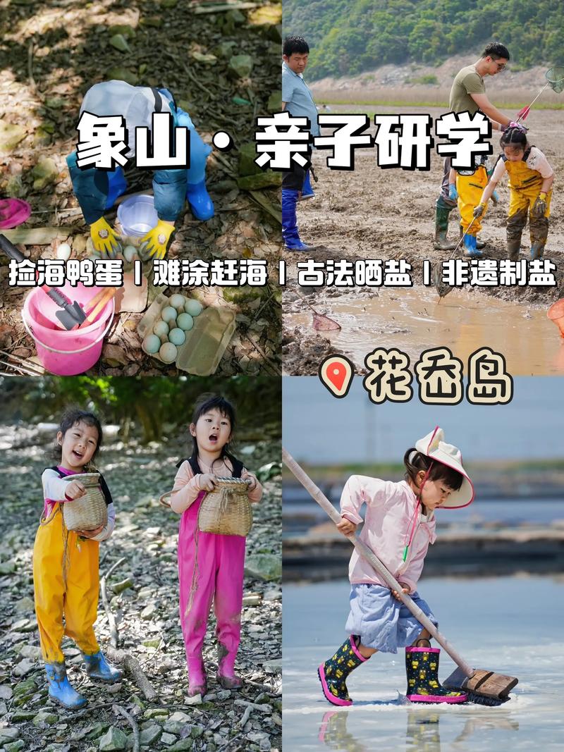 真要带娃研学该怎么做