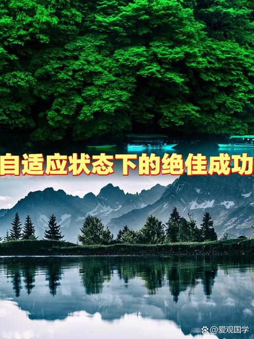 自适应到底怎么“适应”你？