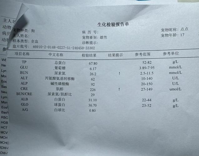 犬自制粮营养失衡病例体检单