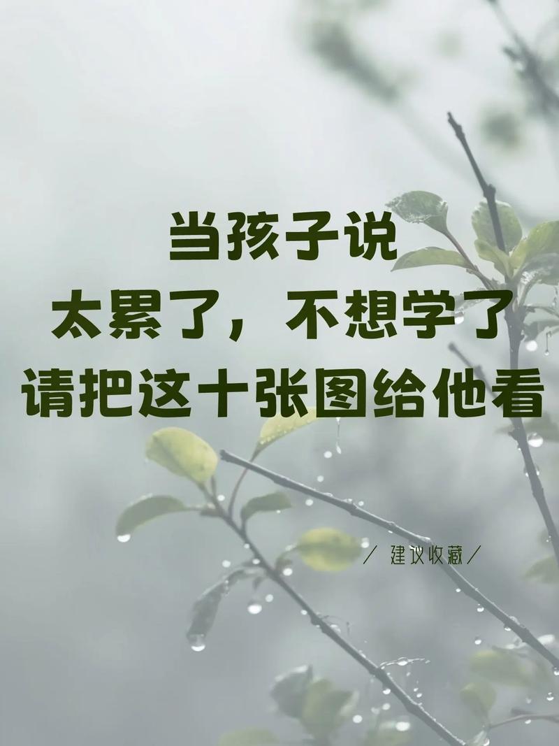 从校园到真实世界，中间隔着无数次狼狈