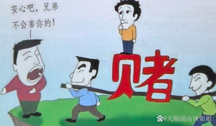 我家这种情况选它，真的算赌对了