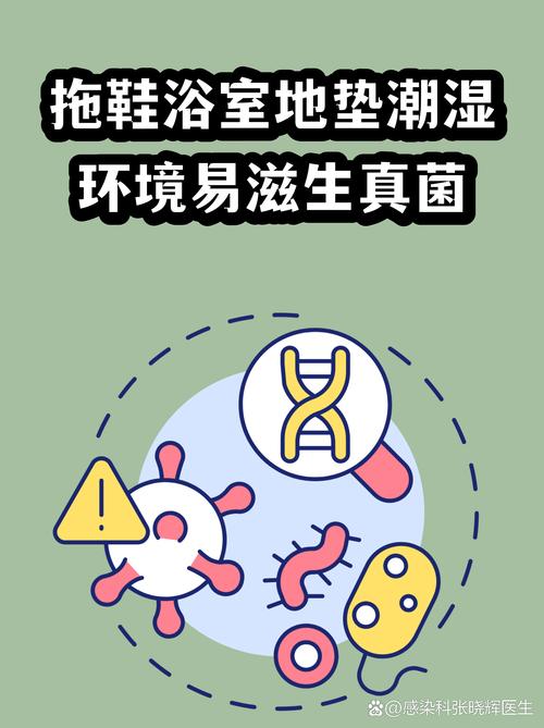 日常家用拖鞋缝隙真菌繁殖示意图