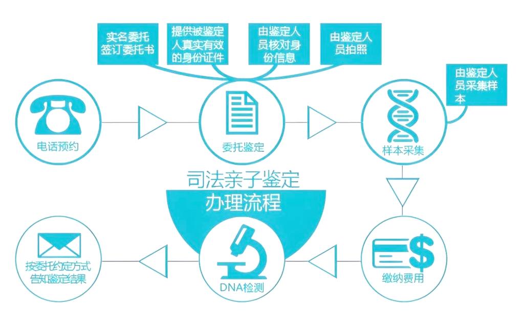 司法亲子鉴定程序流程步骤图