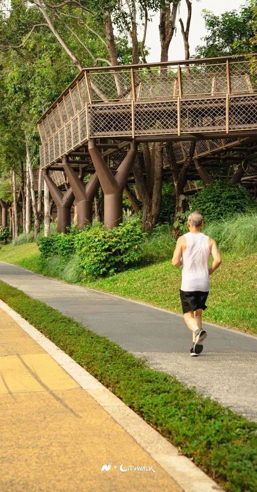 城市公园步道上拄登山杖慢跑的老年跑者