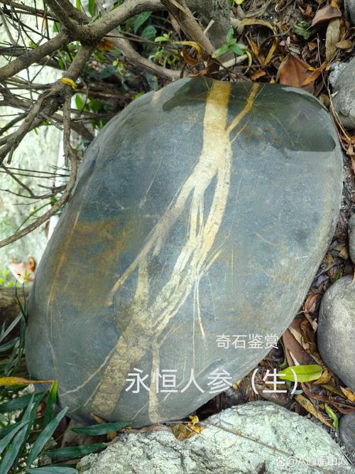 被人摸过的石头，才活着