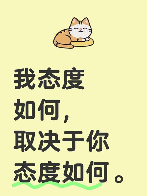5. 我的个人态度