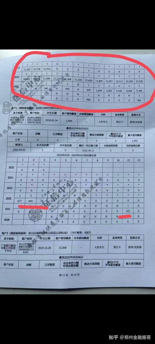 个人征信报告保证人逾期记录示例