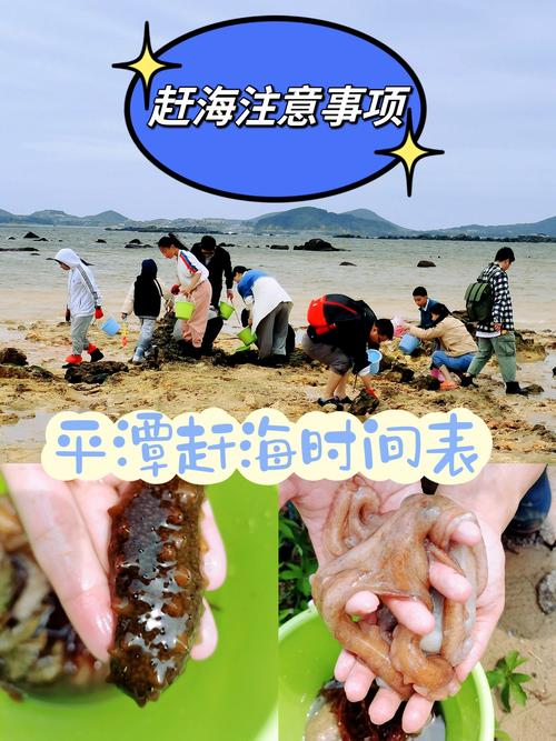 去凑涌鱼热闹的小贴士，都是踩坑踩出来的