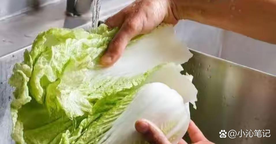 整颗白菜掰片清洗步骤图