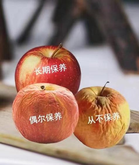 保养与误区:原来如此
