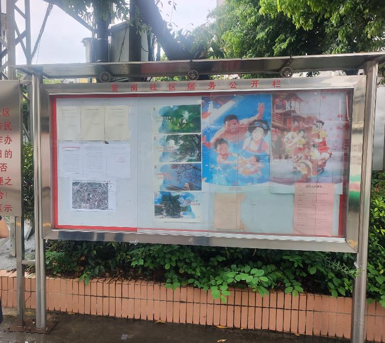 老百姓在街道公告栏拍旧城改造公示的实拍场景