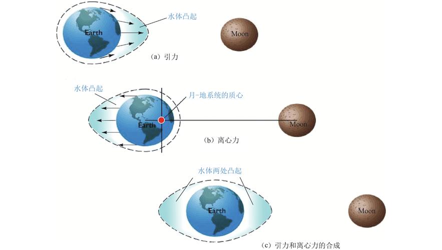 潮汐双凸引潮力盆装水演示示意图