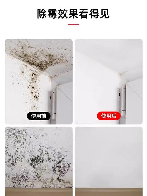 墙面发霉处理铲除霉菌