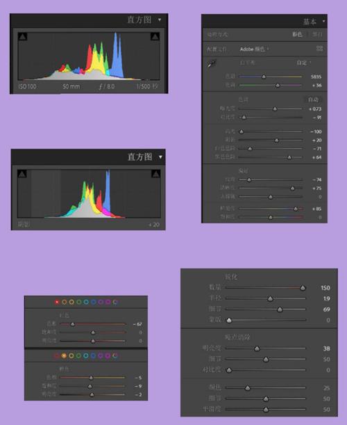 Lightroom手机版调色界面曲线调整截图