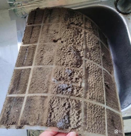 长时间未清洗布满灰尘霉斑的空调滤网特写