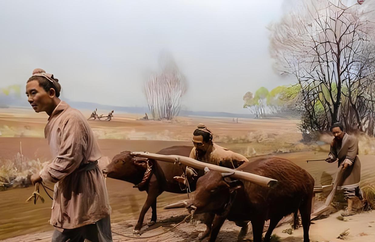 古代黄河流域春耕犁地播种场景图