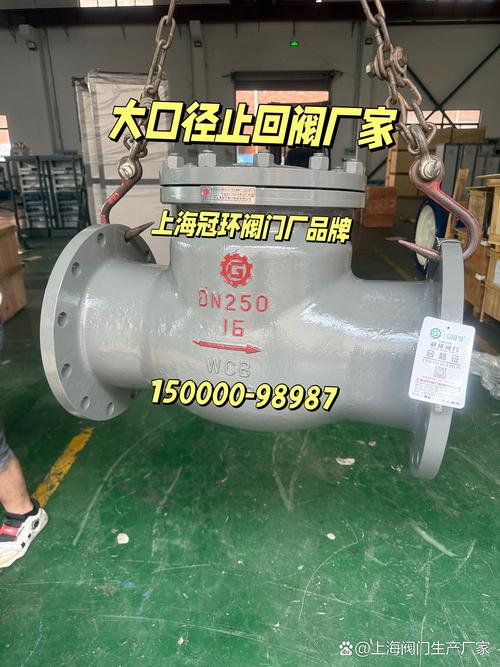 止回阀厂家TS压力管道认证实拍