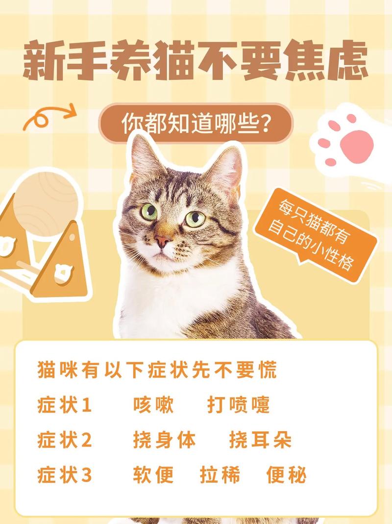 普通人养宠，其实不用太焦虑