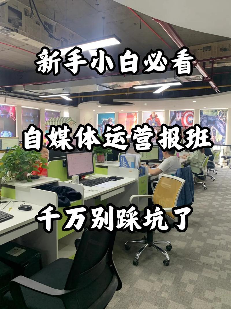 给新手的直白建议,别踩坑