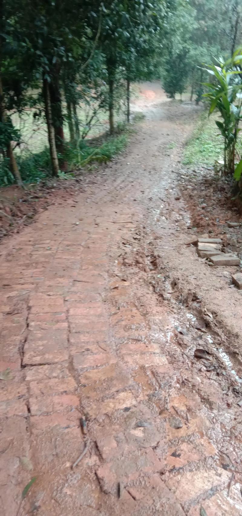 特岗教师家访泥泞山路