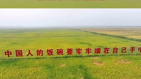 产业链上每个人的饭碗都在变