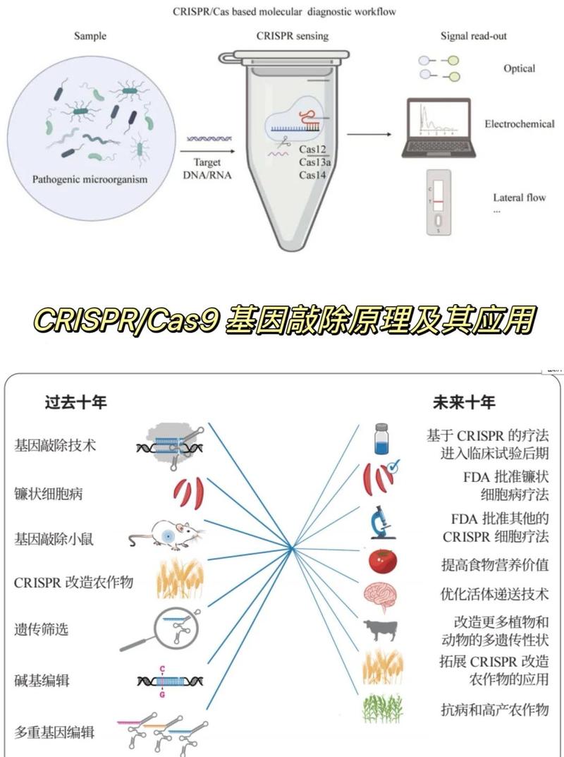 CRISPR基因编辑技术迭代时间线图