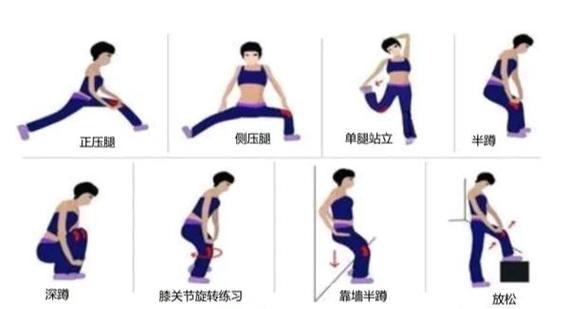 舞蹈休闲健身前膝关节热身动作示意图