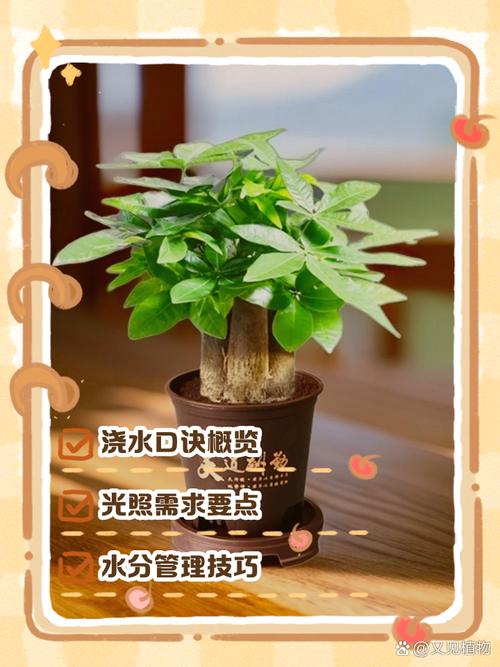 养死三盆植物后，我悟出的浇水哲学