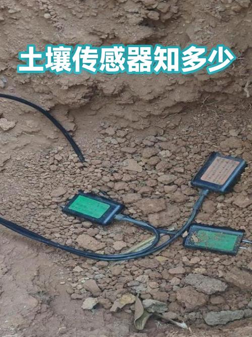 河北曲周农田低成本土壤传感器变量施肥操作演示