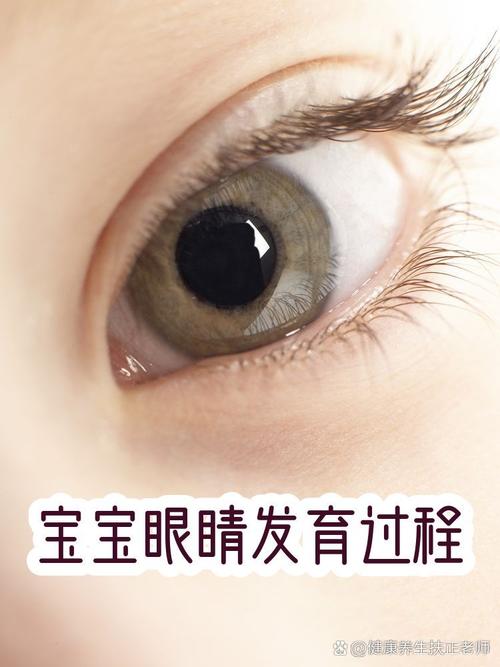 0-6个月宝宝视力发育红球追视示范图
