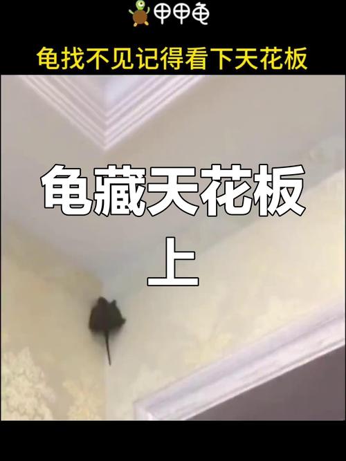 看不见的天花板在哪里?