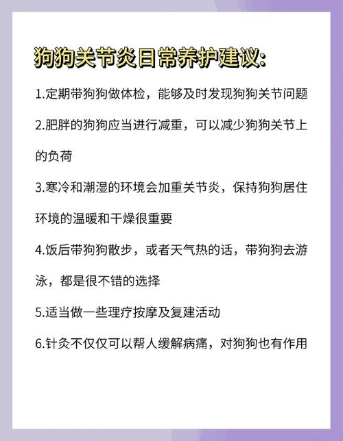 宠物关节炎早期异常行为汇总表