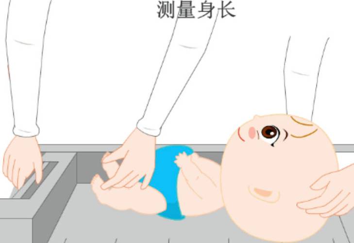 婴幼儿平躺测量身高体重正确姿势图