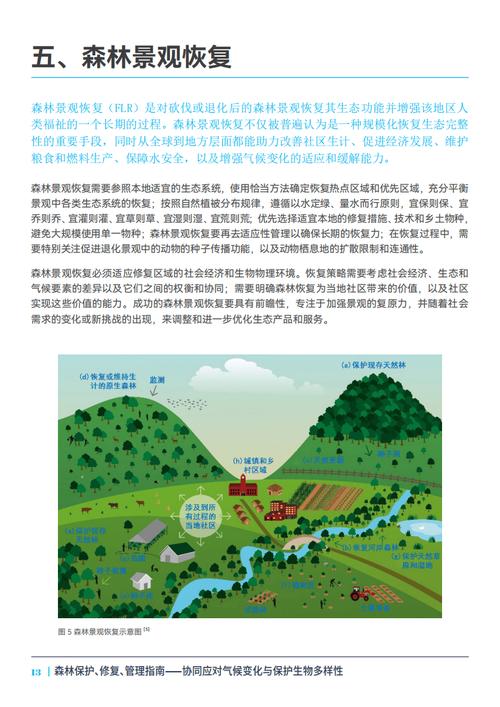 原生境修复：不是种树种草这么简单