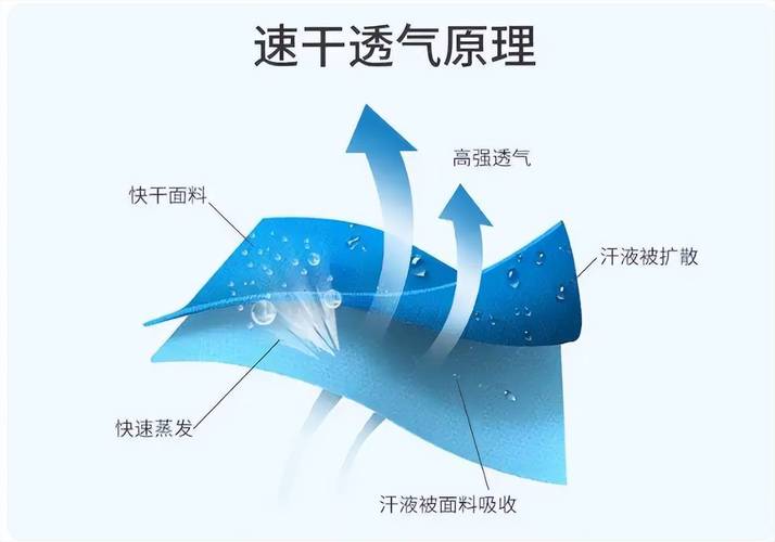 轻便防风外套面料透湿性对比示意图