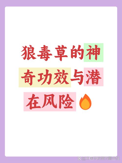 🌿 材料安全:隐形杀手
