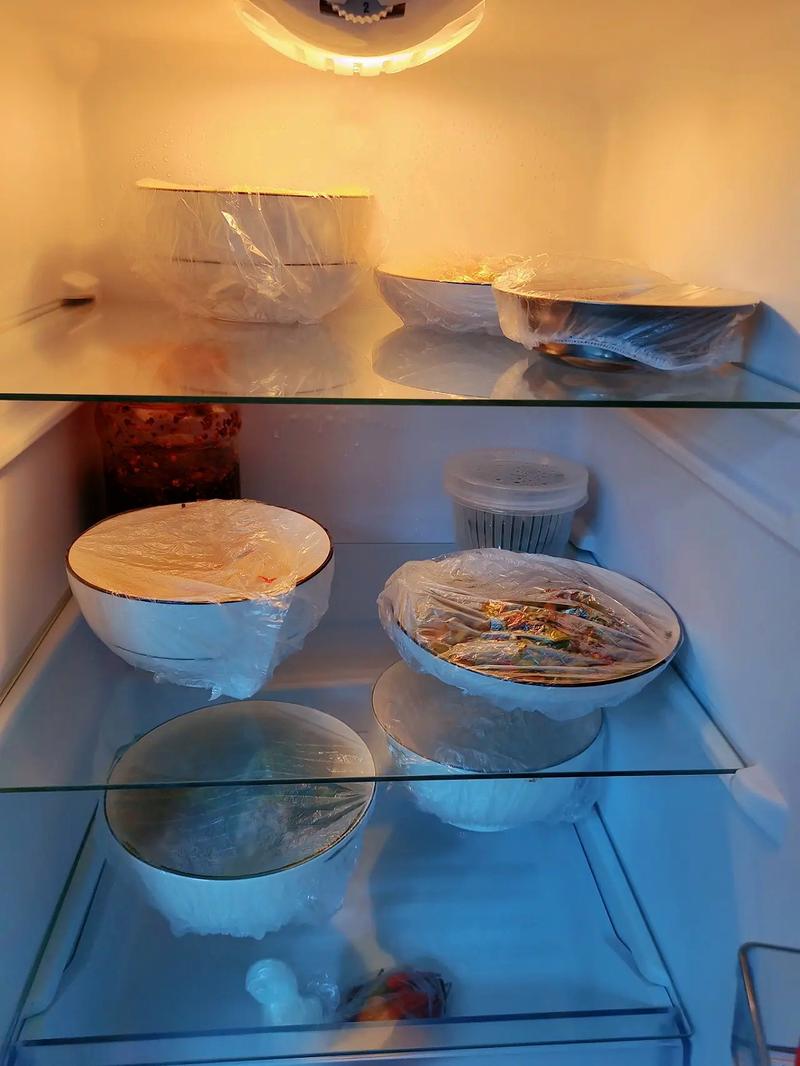 旧冰箱里蓝盖塑料盒装冷剩饭的日常场景