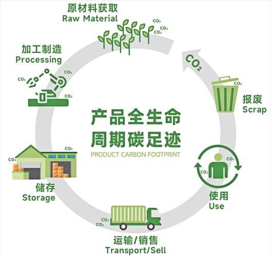 制造企业产品碳标签申报流程公示看板