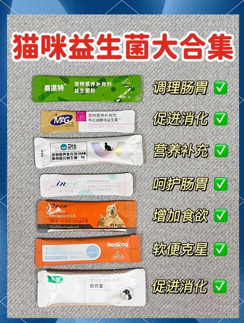 铲屎官给软便猫咪喂宠物益生菌实拍
